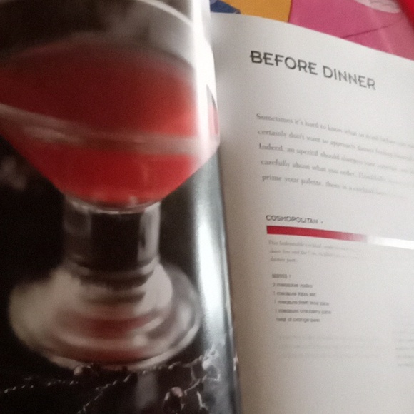 The Bartender's Guide- Paragon Books Ltd. 2008 - Picture 17 of 17